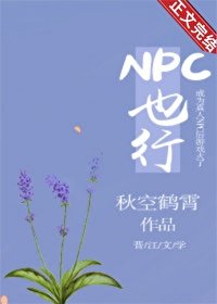 NPC也行